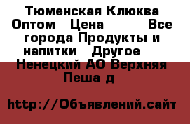 Тюменская Клюква Оптом › Цена ­ 200 - Все города Продукты и напитки » Другое   . Ненецкий АО,Верхняя Пеша д.